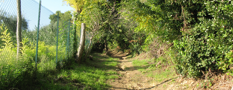 Parco Monte San Bartolo Sentiero 152 - immagine 3