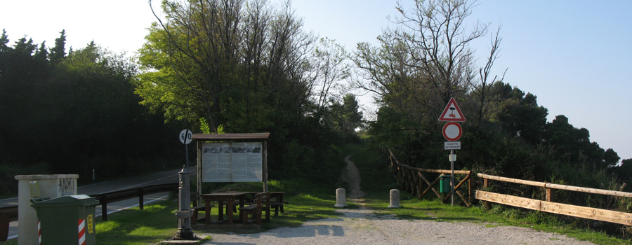 Parco Monte San Bartolo Sentiero 152 - immagine 5