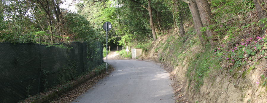 Parco Monte San Bartolo Sentiero 154 - immagine 3