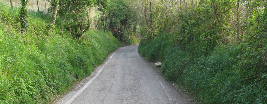 Parco Monte San Bartolo Sentiero 154 - immagine 9