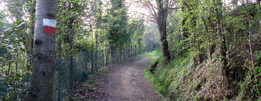 Parco Monte San Bartolo Sentiero 154 - immagine 10