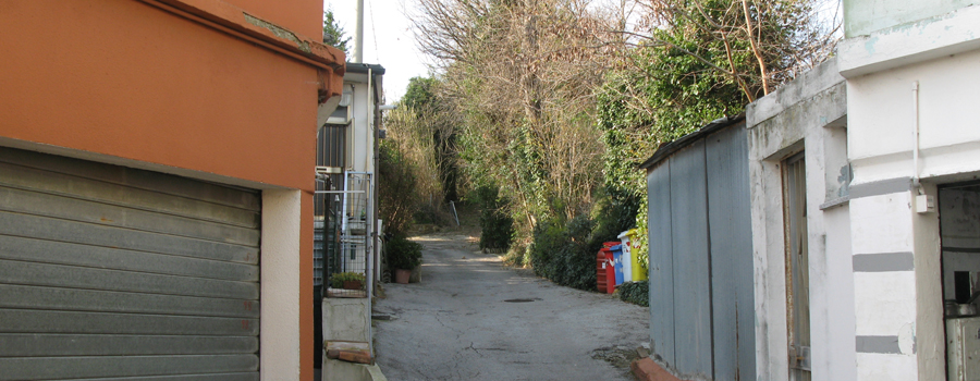 Monte San Bartolo Sentiero 155 - immagine 1