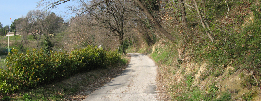 Monte San Bartolo Sentiero 155 - immagine 3
