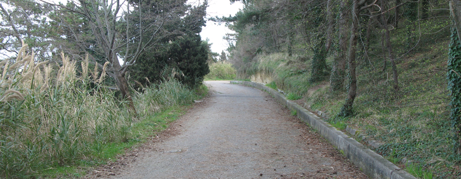 Monte San Bartolo Sentiero 155a - immagine 2