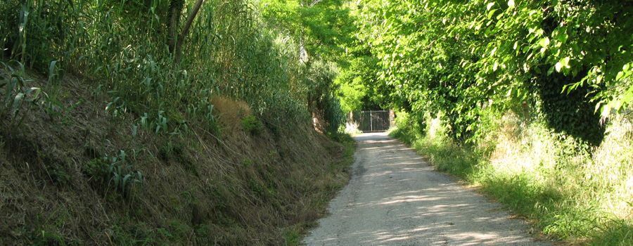 Parco Monte San Bartolo Sentiero 156 - immagine 2
