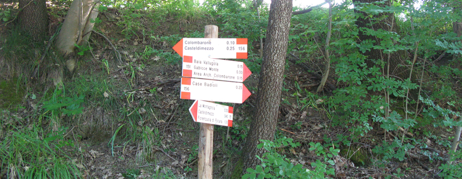 Parco Monte San Bartolo Sentiero 156 - immagine 5