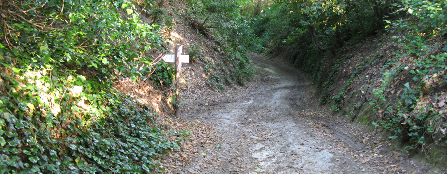 Parco Monte San Bartolo Sentiero 156 - immagine 7