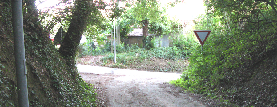 Parco Monte San Bartolo Sentiero 156 - immagine 8