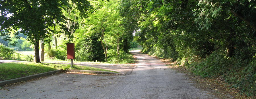 Parco Monte San Bartolo Sentiero 156 - immagine 9