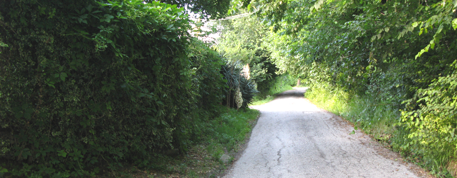 Parco Monte San Bartolo Sentiero 156 - immagine 10