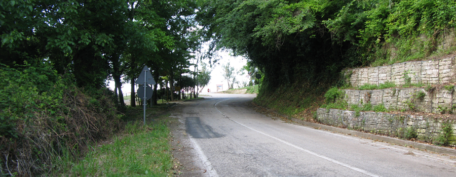Parco Monte San Bartolo Sentiero 156 - immagine 12