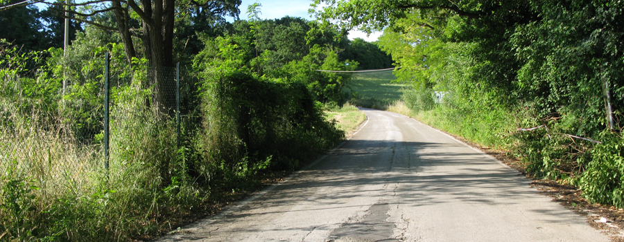 Parco Monte San Bartolo Sentiero 156b - immagine 2