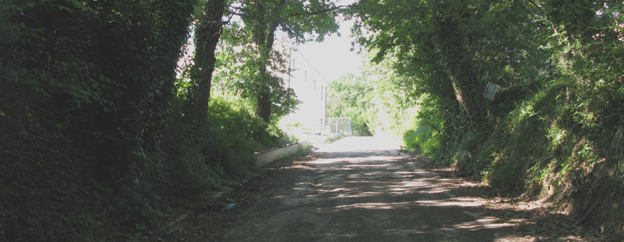 Parco Monte San Bartolo Sentiero 157 - immagine 2