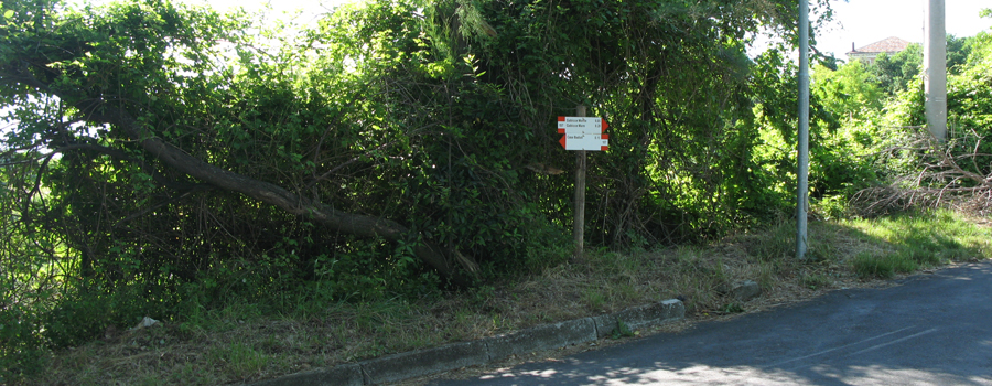 Parco Monte San Bartolo Sentiero 157 - immagine 4