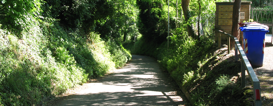 Parco Monte San Bartolo Sentiero 157 - immagine 5