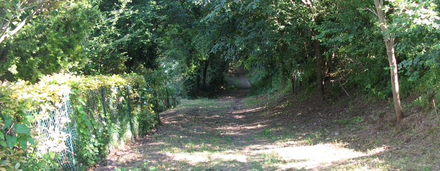 Parco Monte San Bartolo Sentiero 157 - immagine 6