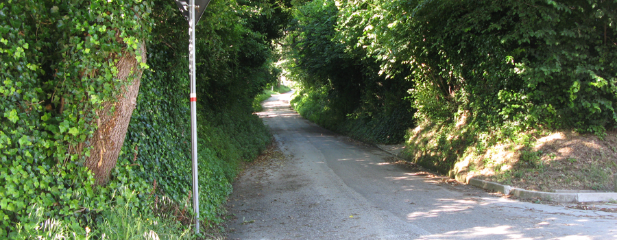 Parco Monte San Bartolo Sentiero 157 - immagine 8