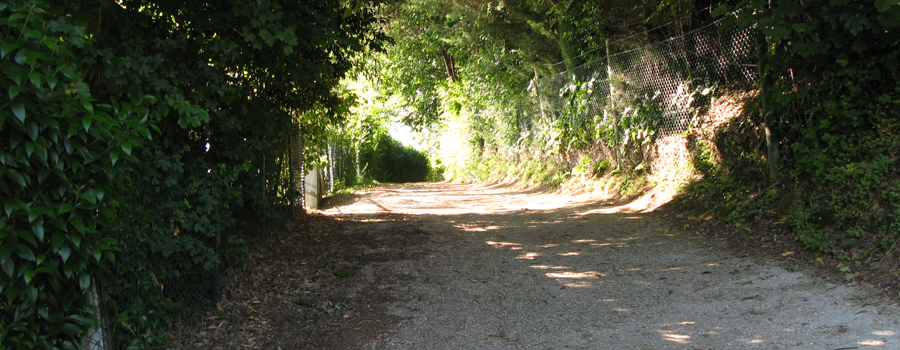 Parco Monte San Bartolo Sentiero 157 - immagine 9