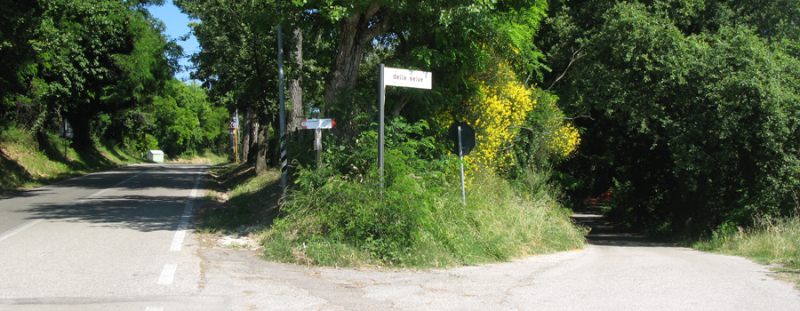Parco Monte San Bartolo Sentiero 157 - immagine 12