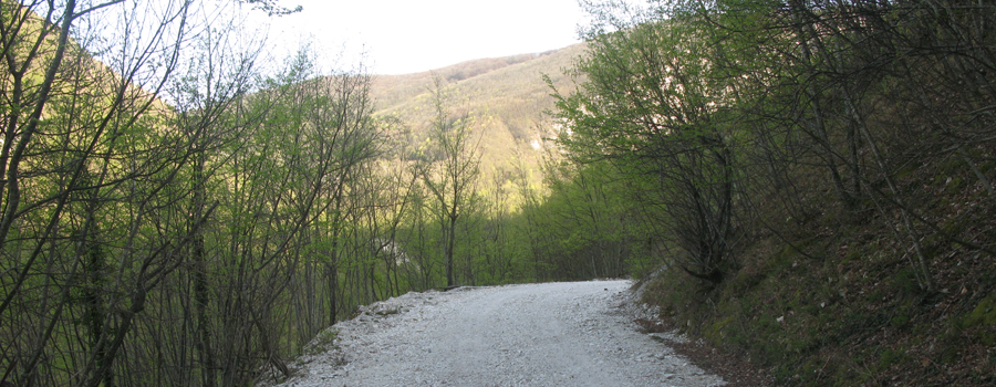 Monte Nerone Sentiero 16 - immagine 2