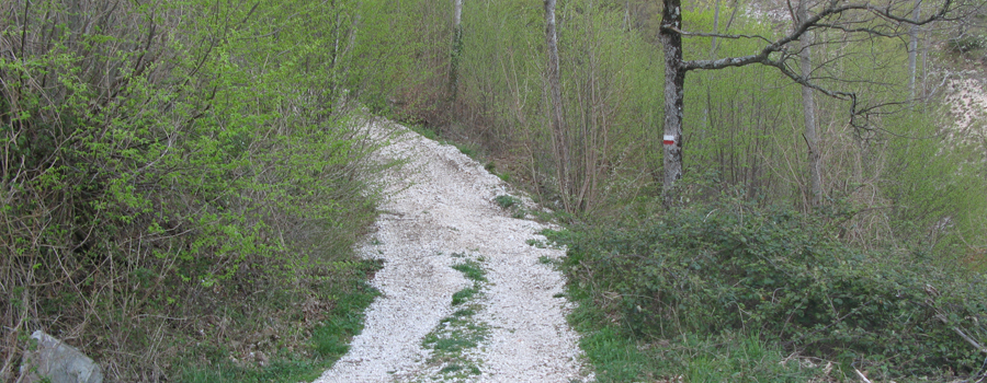 Monte Nerone Sentiero 16 - immagine 4