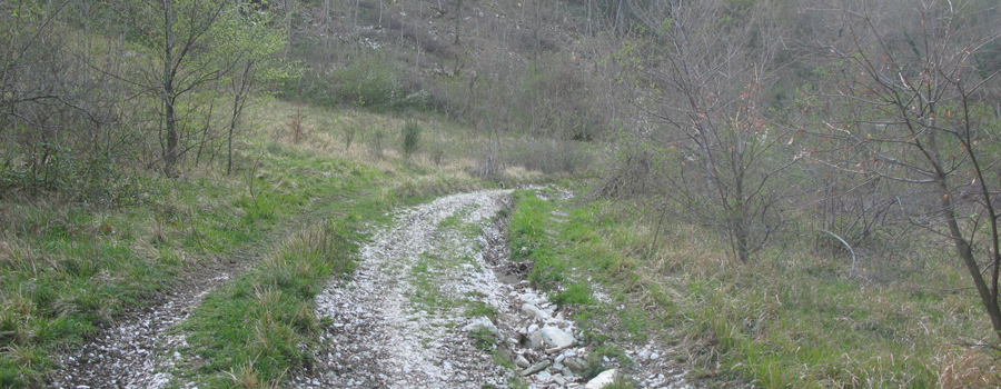 Monte Nerone Sentiero 16 - immagine 5