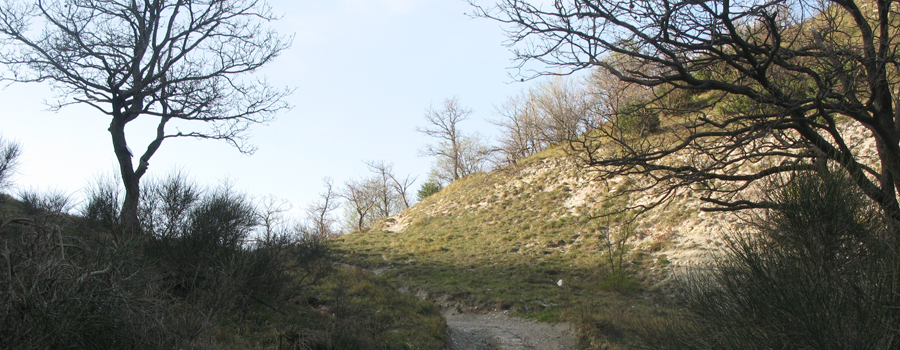 Monte Nerone Sentiero 16 - immagine 6 (Monticello)