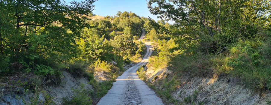 Parco Sasso Simone e Simoncello Sentiero 17 - immagine 2