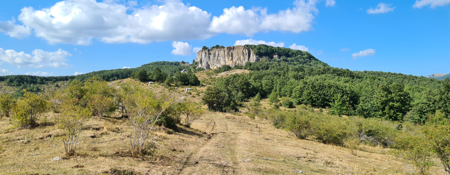 Parco Sasso Simone e Simoncello Sentiero 17 - immagine 3