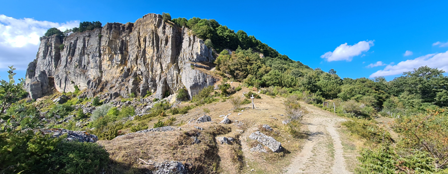 Parco Sasso Simone e Simoncello Sentiero 17 - immagine 4