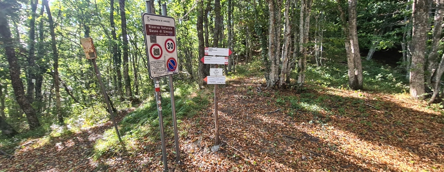 Parco Sasso Simone e Simoncello Sentiero 17 - immagine 6