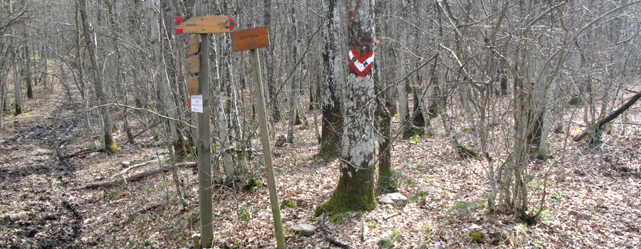 Parco Sasso Simone e Simoncello Sentiero 17 - immagine 7 (Banditella)