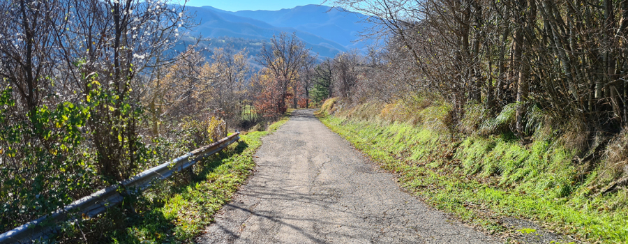 Parco Sasso Simone e Simoncello Sentiero 17 - immagine 12