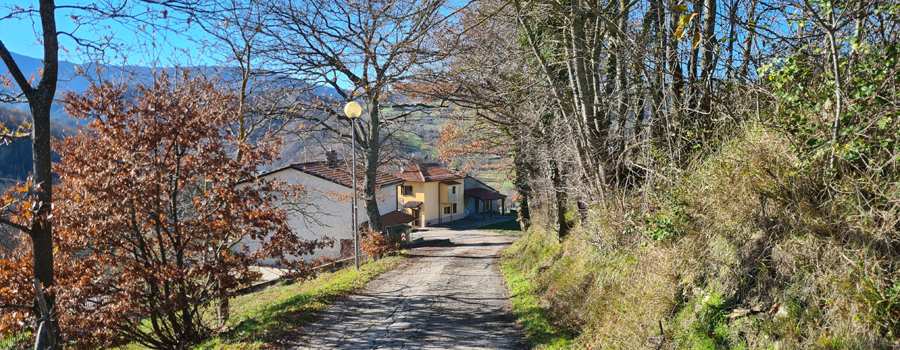 Parco Sasso Simone e Simoncello Sentiero 17 - immagine 13