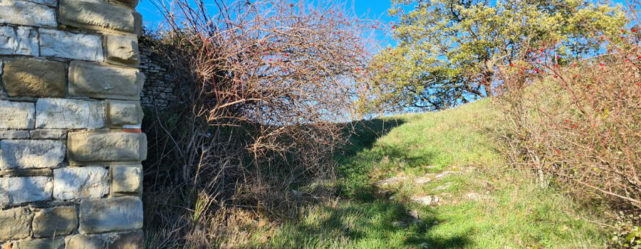 Parco Sasso Simone e Simoncello Sentiero 17 - immagine 14