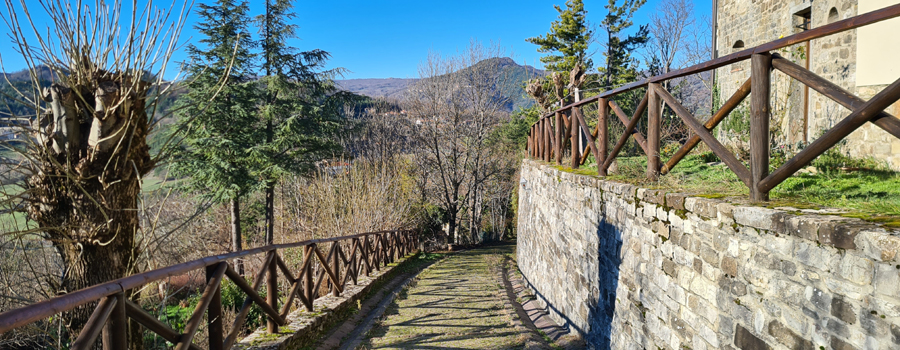 Parco Sasso Simone e Simoncello Sentiero 17 - immagine 15