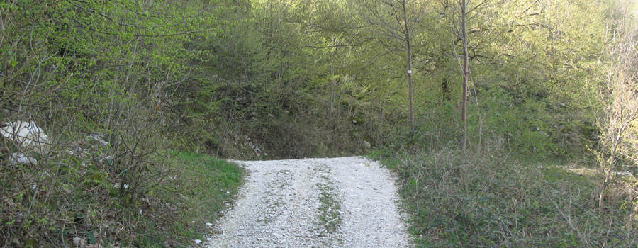 Monte Nerone Sentiero 18 - immagine 6b