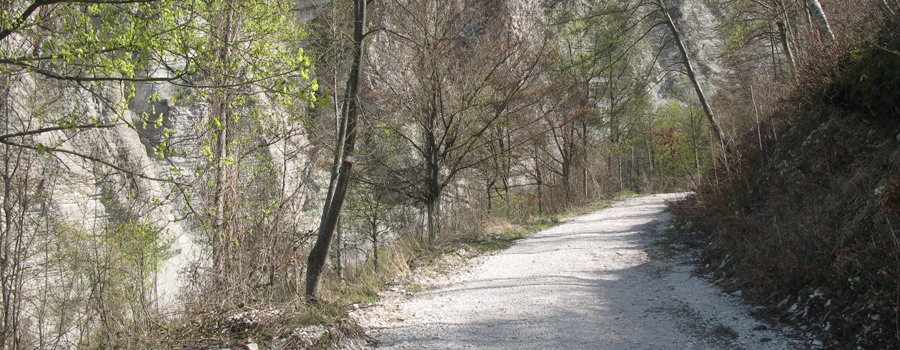 Monte Nerone Sentiero 18 - immagine 6c