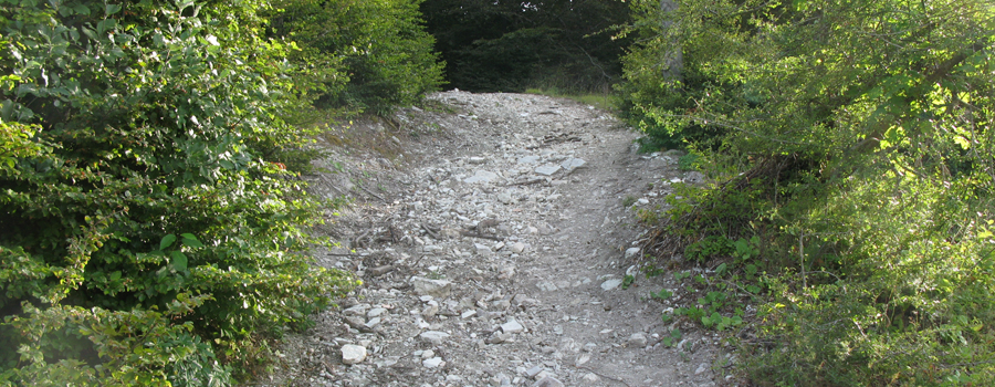 Monte Nerone Sentiero 18 - immagine 9