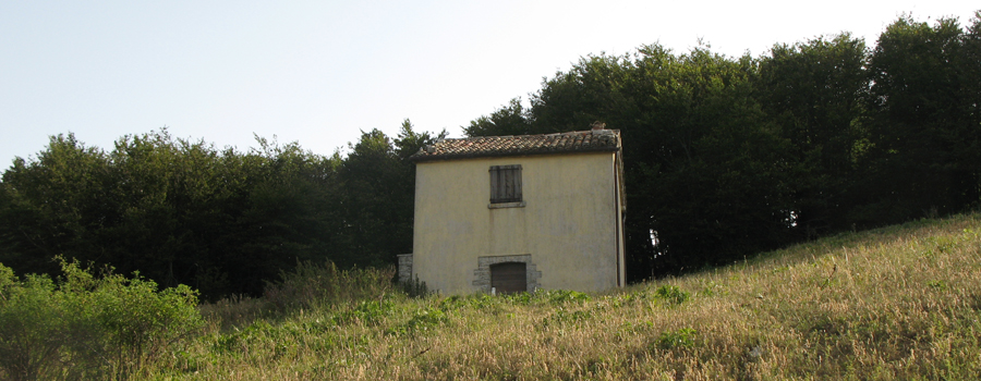 Monte Nerone Sentiero 18 - immagine 11 (Casciaia Mochi)