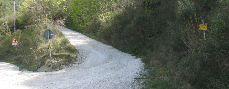 Monte Nerone Sentiero 19 - immagine 1