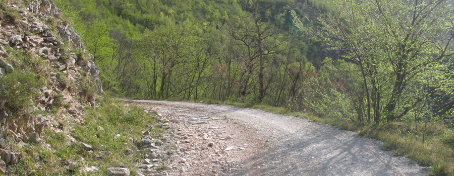 Monte Nerone Sentiero 19 - immagine 2