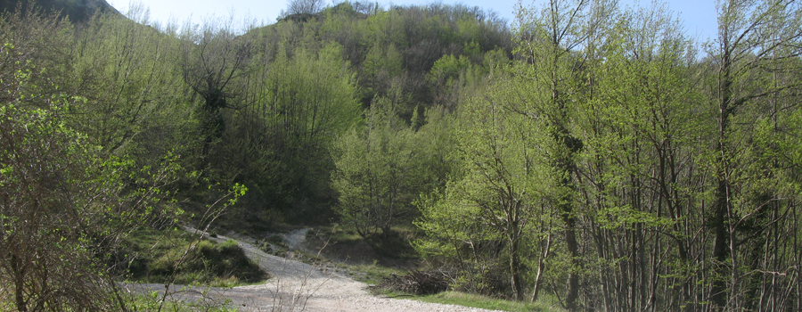 Monte Nerone Sentiero 19 - immagine 4