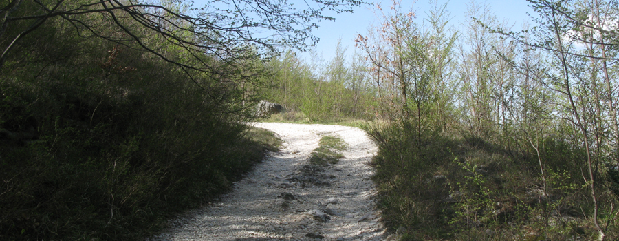 Monte Nerone Sentiero 19 - immagine 5