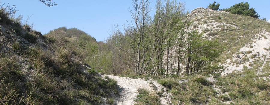 Monte Nerone Sentiero 19 - immagine 7