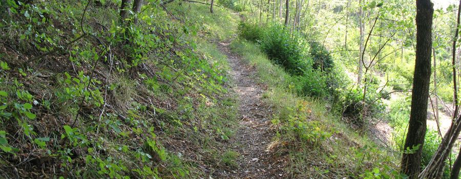 Monte Nerone Sentiero 2 - immagine 3