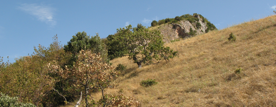 Monte Nerone Sentiero 2 - immagine 5