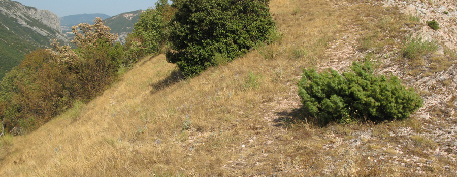 Monte Nerone Sentiero 2 - immagine 6