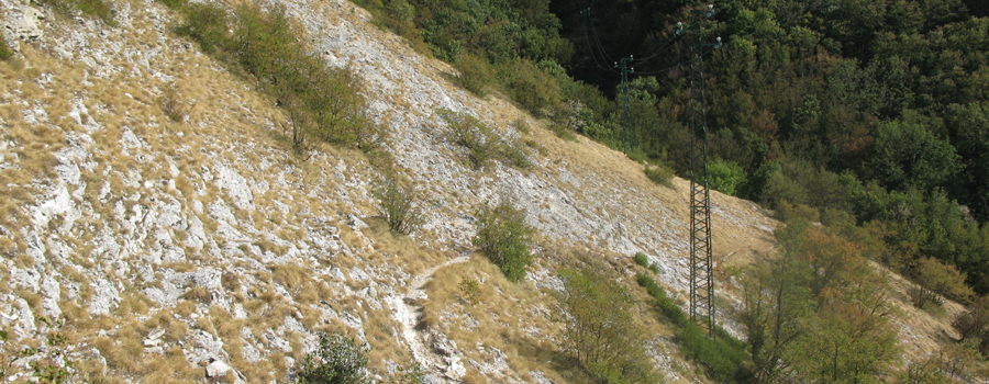 Monte Nerone Sentiero 2 - immagine 9