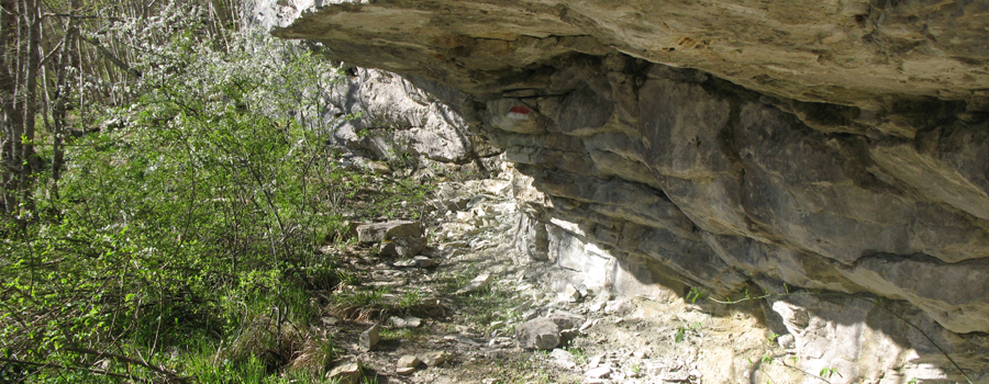 Monte Nerone Sentiero 21 - immagine 8